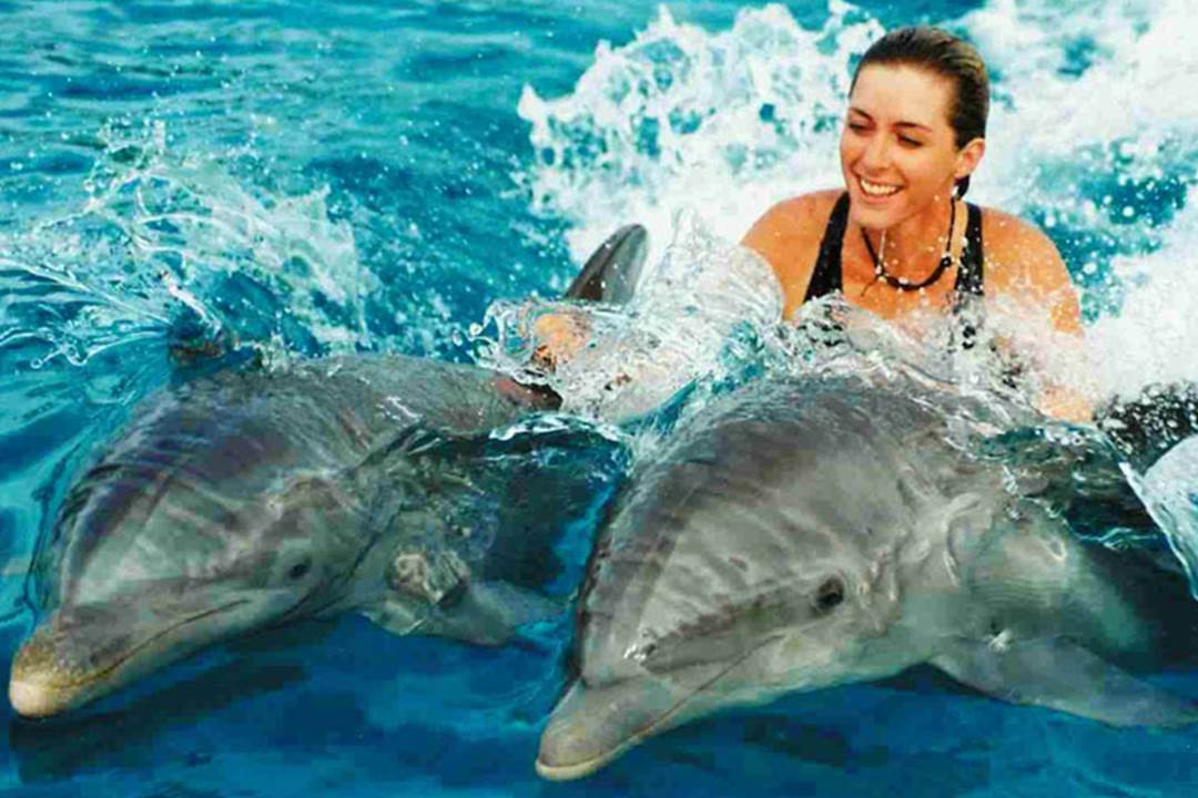 dolphin-tour-zanzibar