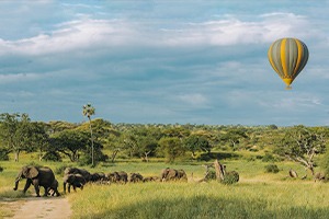 delmart travel