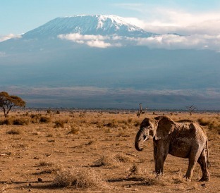 Del Kilimanjaro