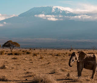 Kilimanjaro1