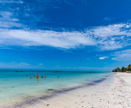 Delmart Travel